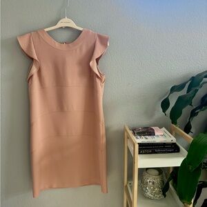 Ann Taylor Blush Dress